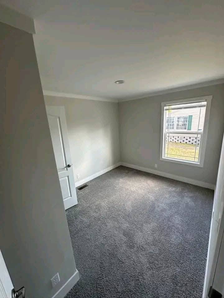 Empty room with light gray walls and plush carpet, featuring a single window and a white door. Sunlight creates a bright, airy atmosphere.