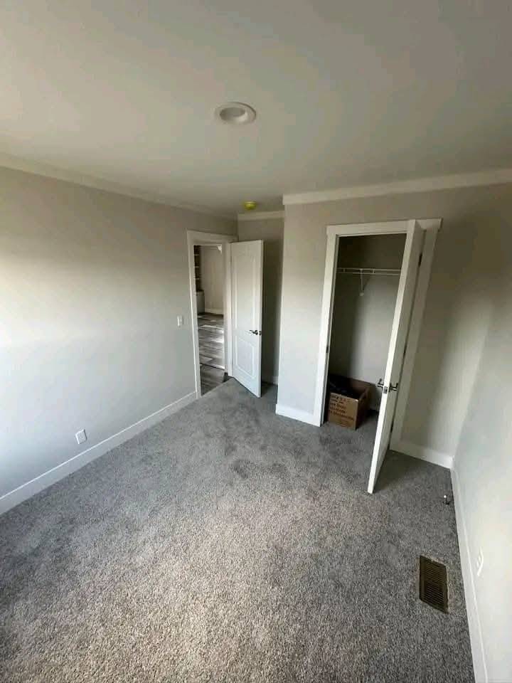 Small, empty room with light gray carpet and white walls. Open closet with a box, two doors ajar leading to a hallway, soft natural lighting.