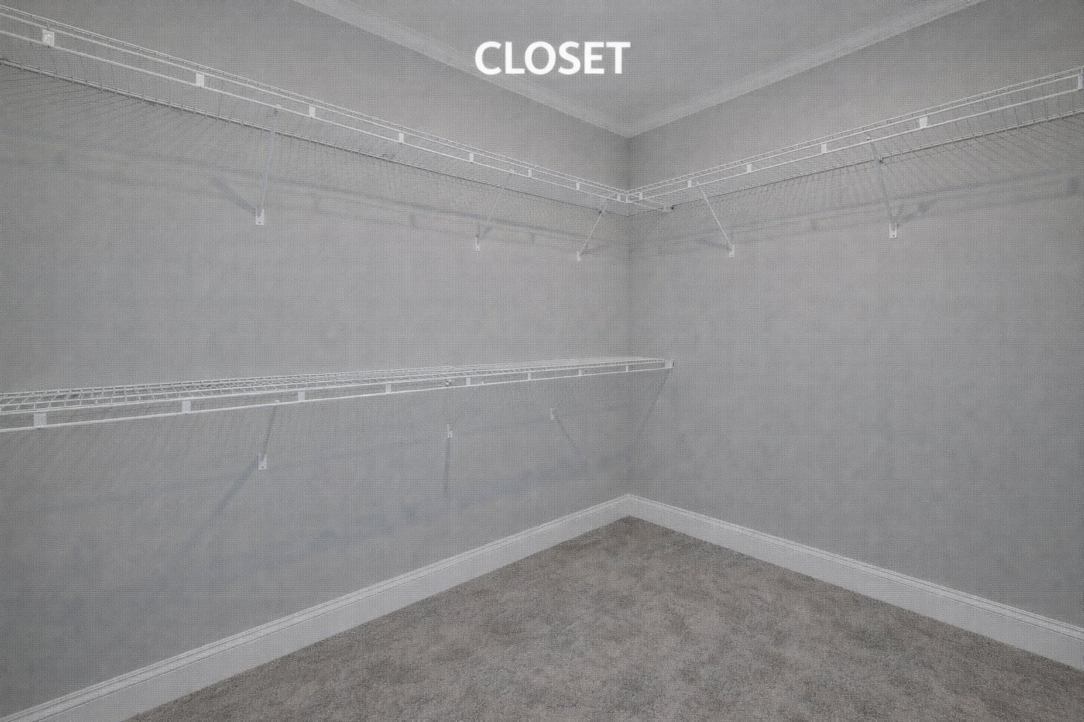 Spacious empty closet with light gray walls, beige carpet, and white wire shelving. The atmosphere is clean and minimalistic.
