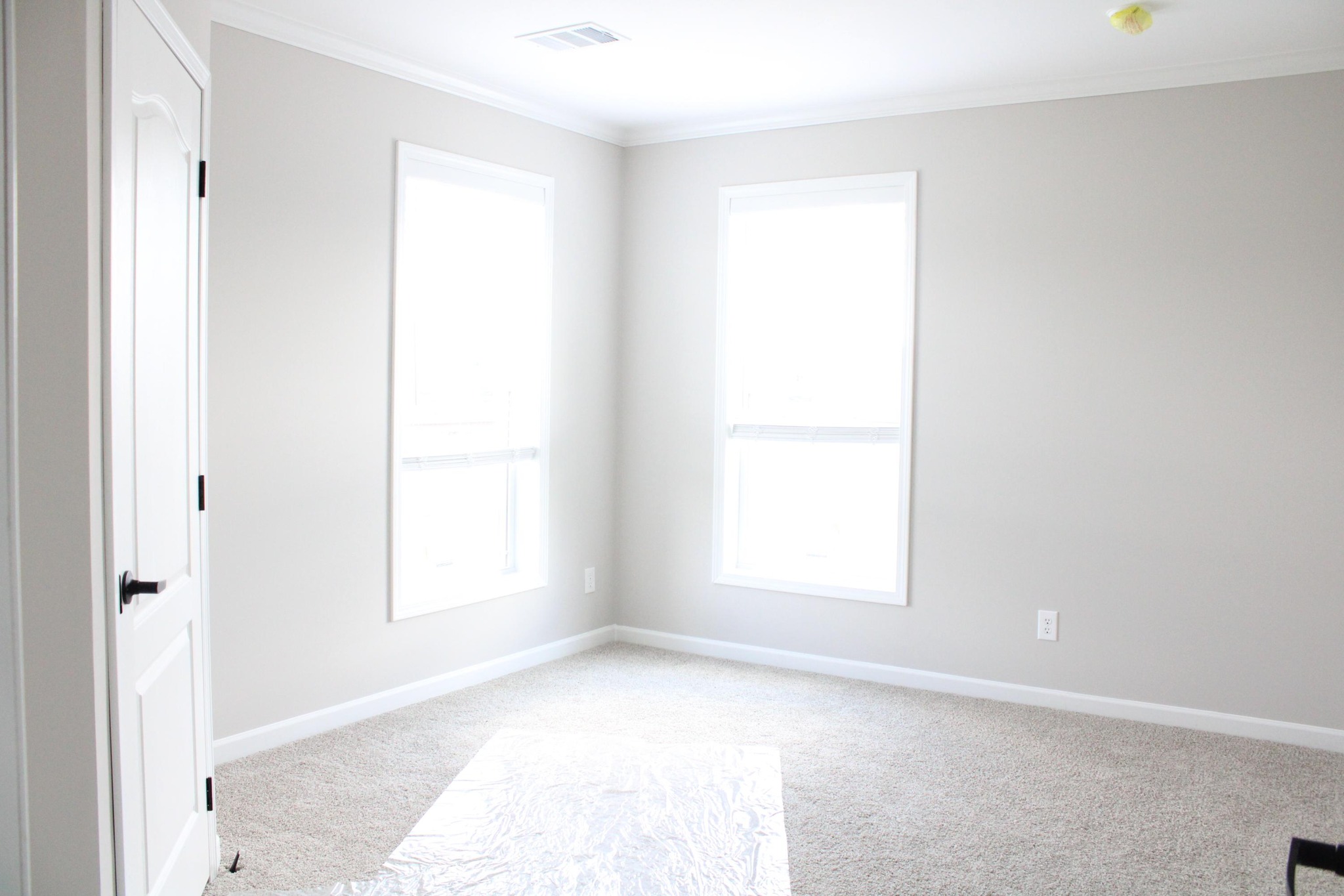 Bright, empty room with beige walls and two large windows. Natural light fills the space, highlighting the soft carpet and white trim, creating an airy, calm atmosphere.