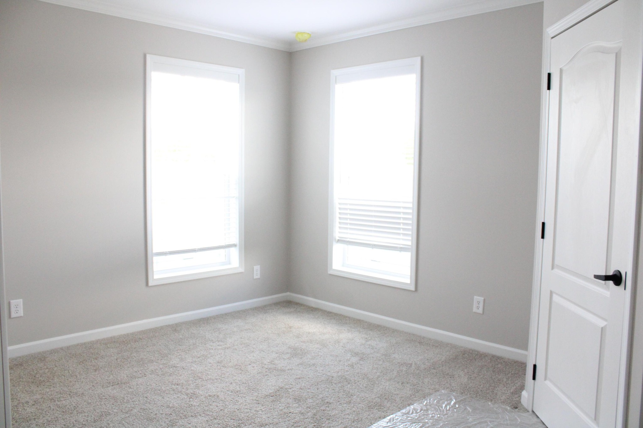 Empty room with light gray walls, two tall windows with blinds, cream carpet, and a white door. The scene is bright and minimalistic.