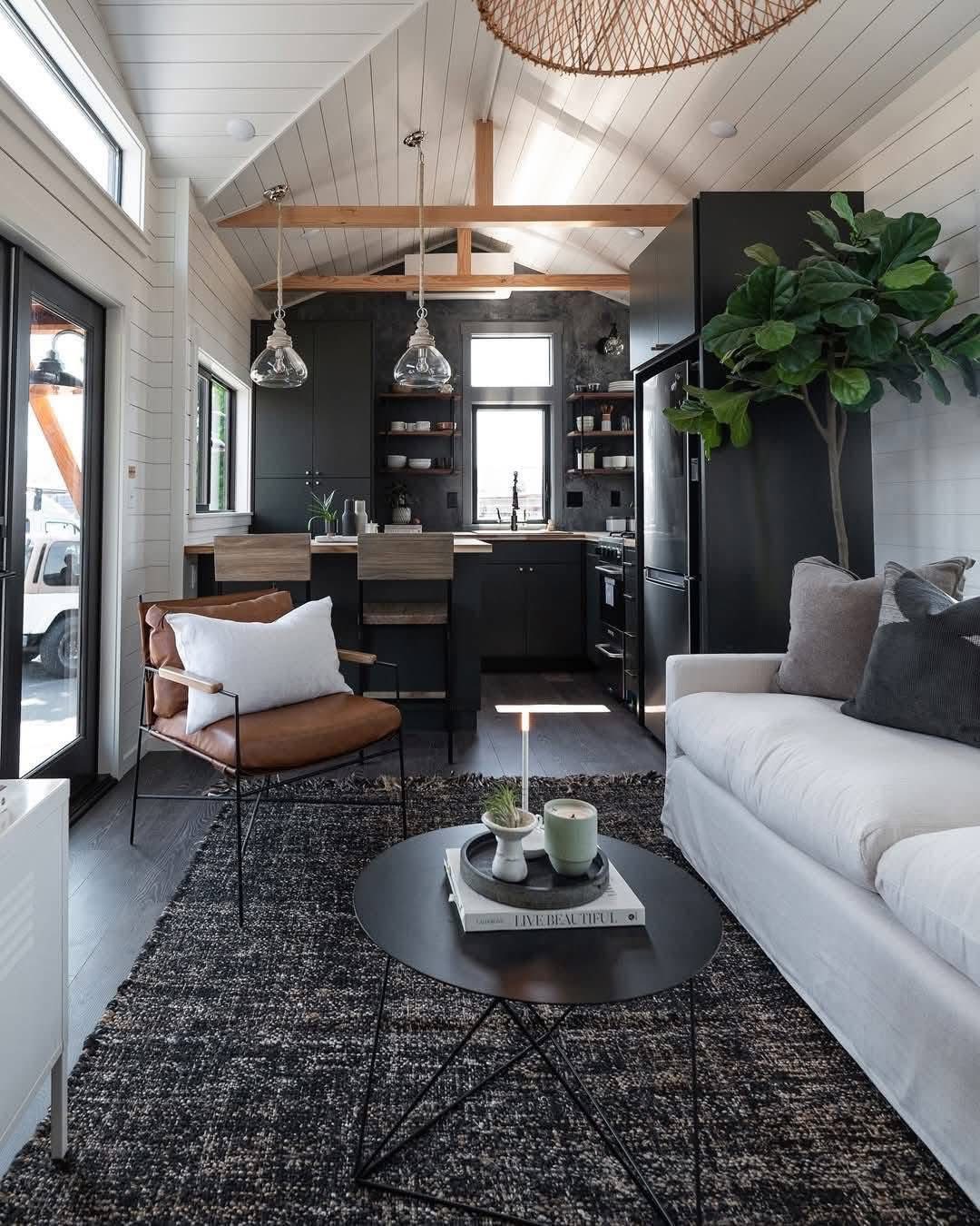 Modern tiny home interior with a vaulted ceiling and dark cabinets in the kitchen. Features a cozy living area with a white sofa, a brown chair, and a plant.