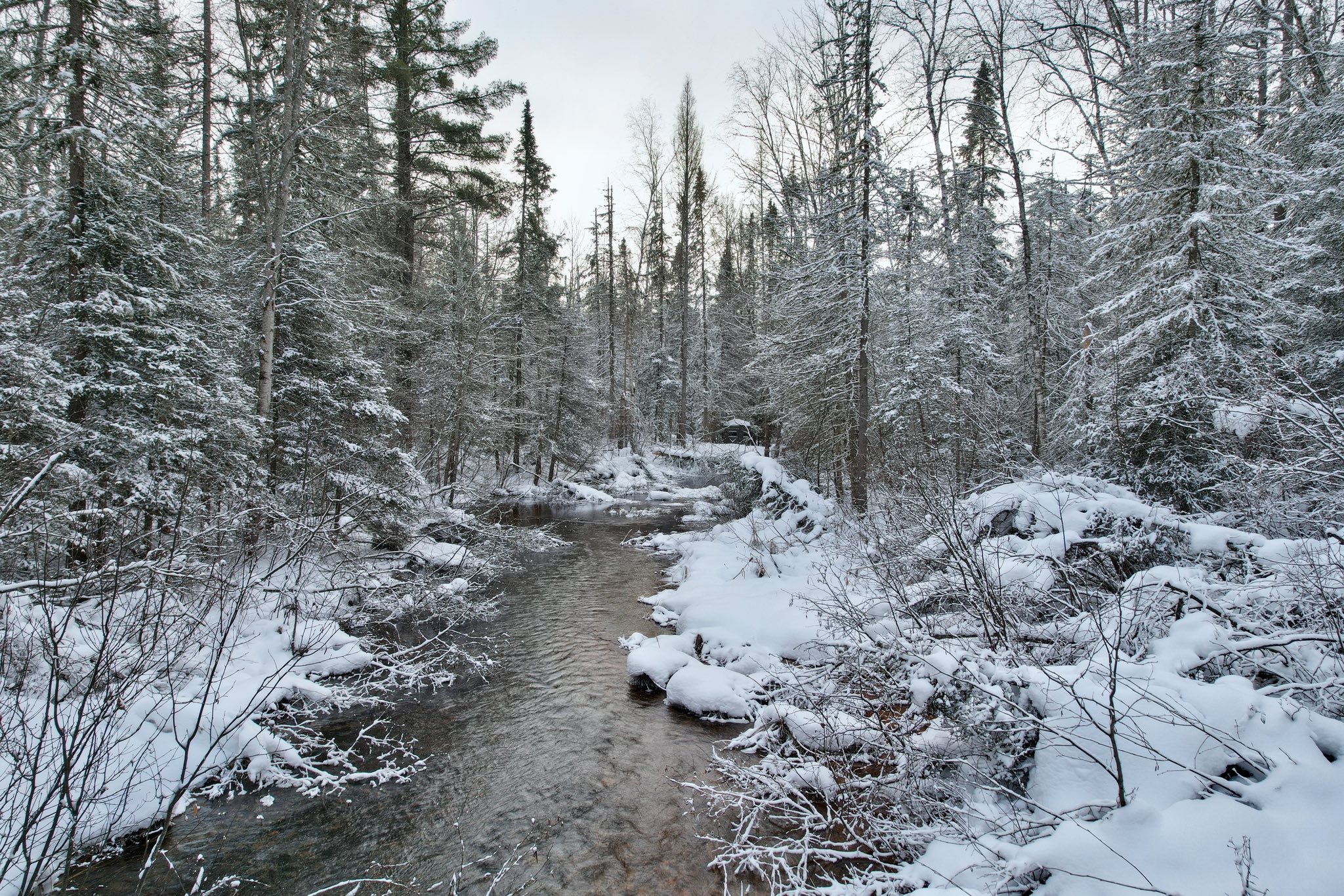 A serene winter scene depicts a snow-covered forest with a narrow, gently flowing stream. Tall, bare trees line the banks, creating a peaceful atmosphere.