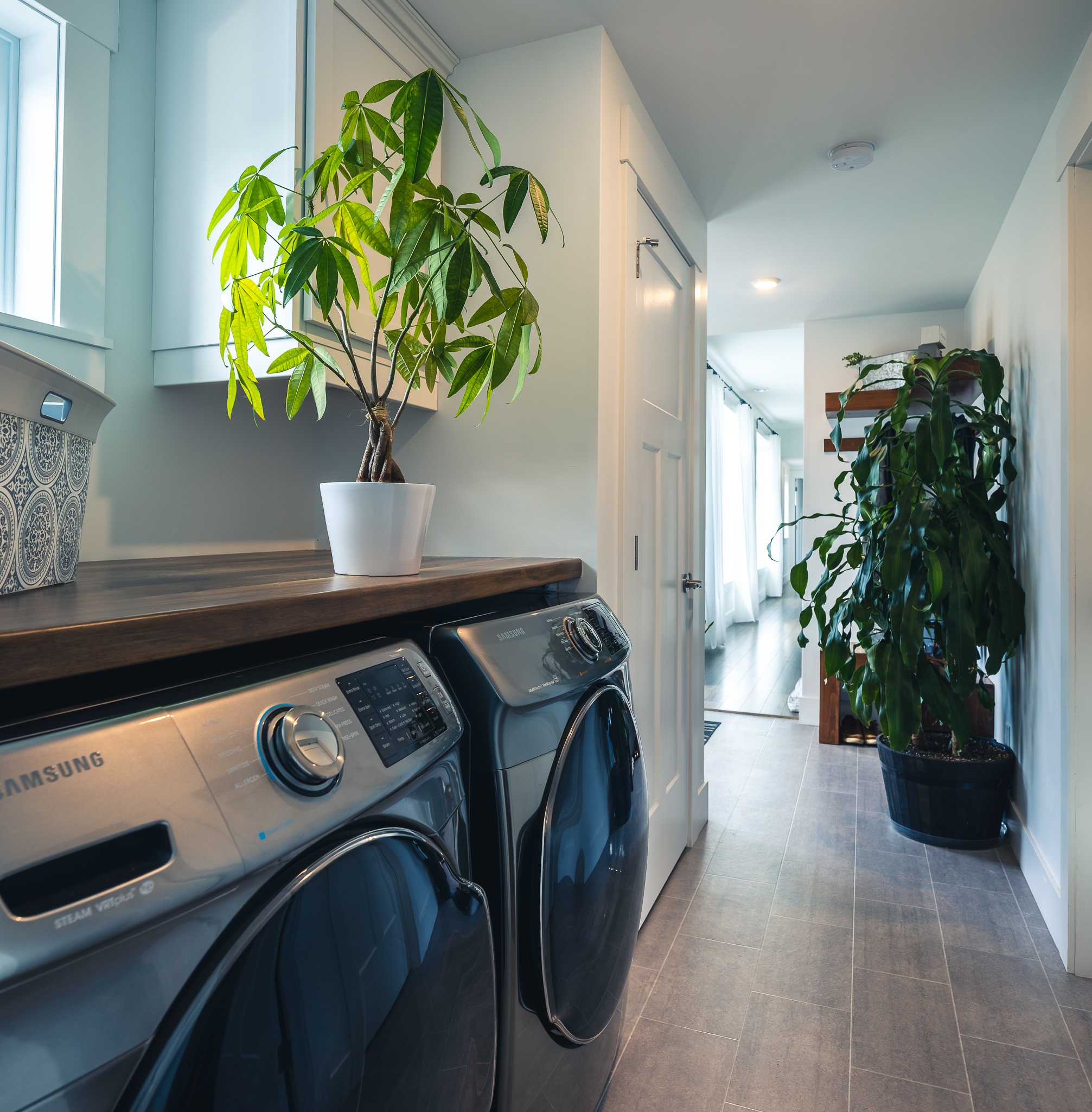 Modern laundry room with a sleek washer and dryer beneath a wooden countertop holding a potted plant. Bright, airy hall with a large plant. Calm, tidy vibe.