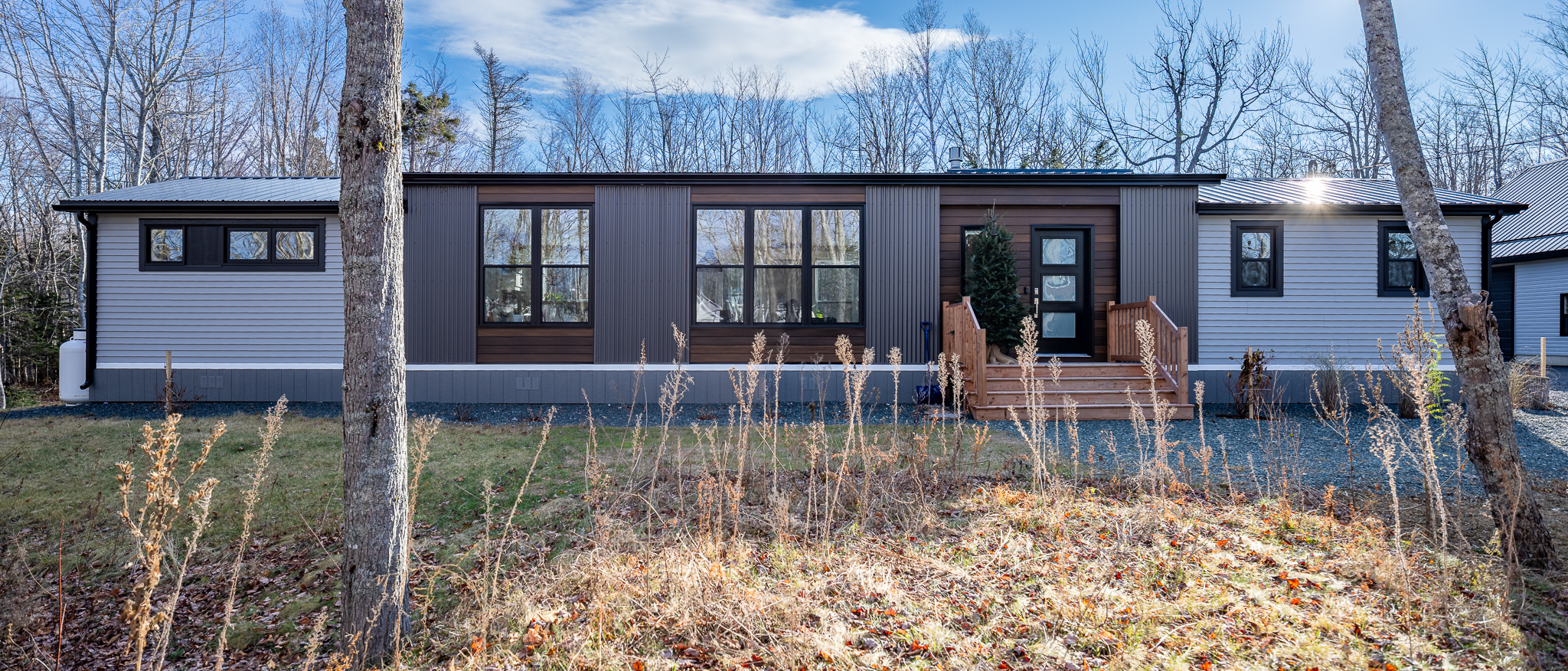 A modern single-story house with large windows and a mix of horizontal siding. The foreground shows dry grass, while leafless trees are in the background.