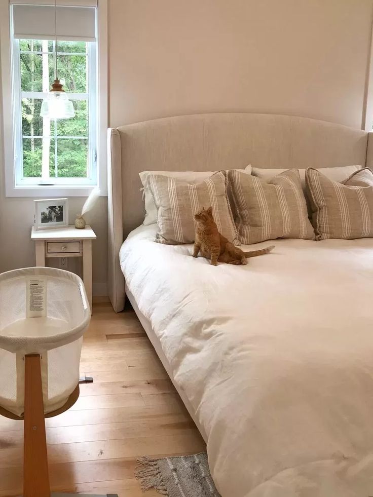 A cozy bedroom with a ginger cat sitting on a white bed, surrounded by striped pillows. Soft light from a large window illuminates the room.