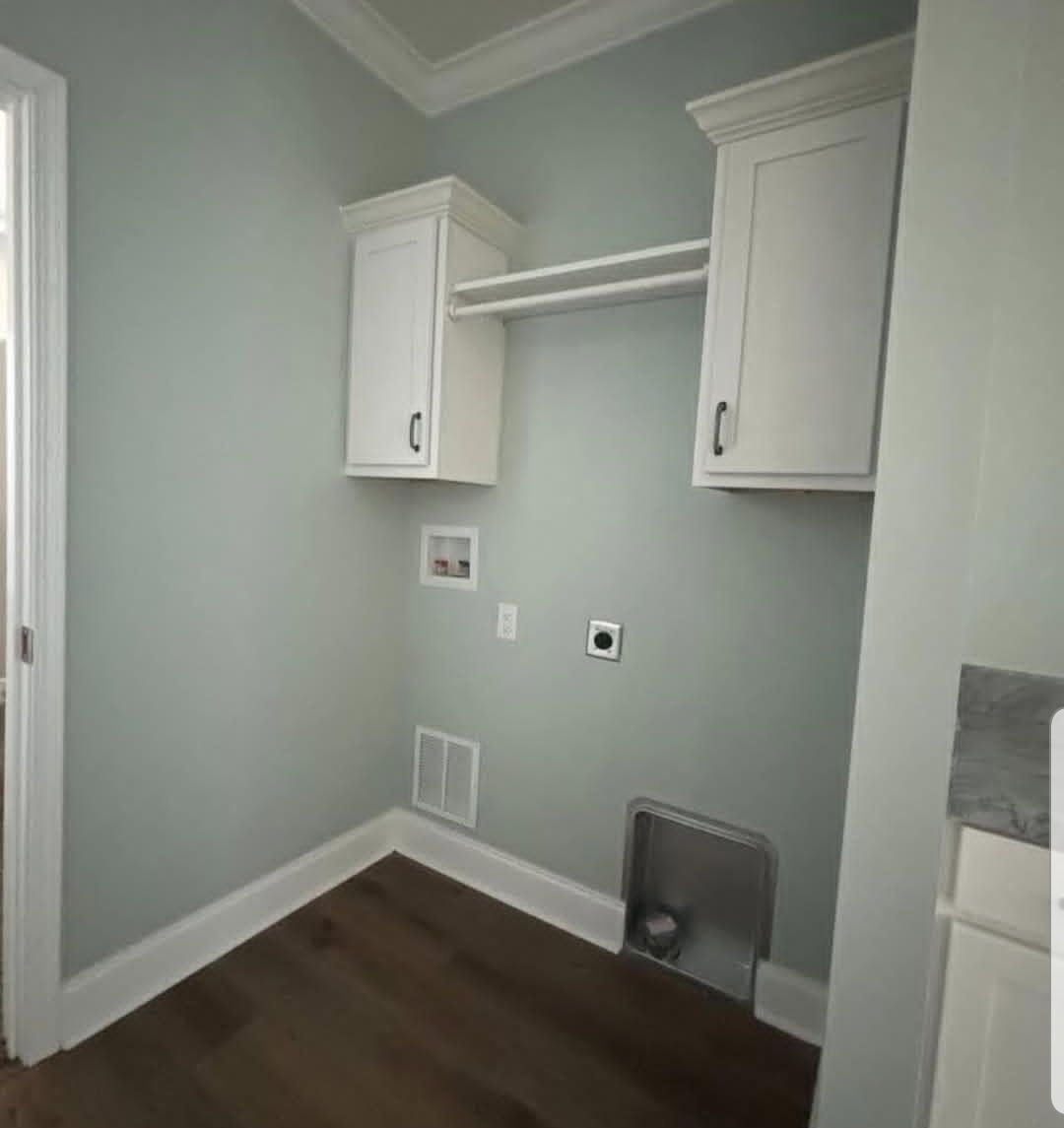 Laundry area with light green walls and wood floor. Two white cabinets hang on either side of a rod. Plug sockets and connections are visible.