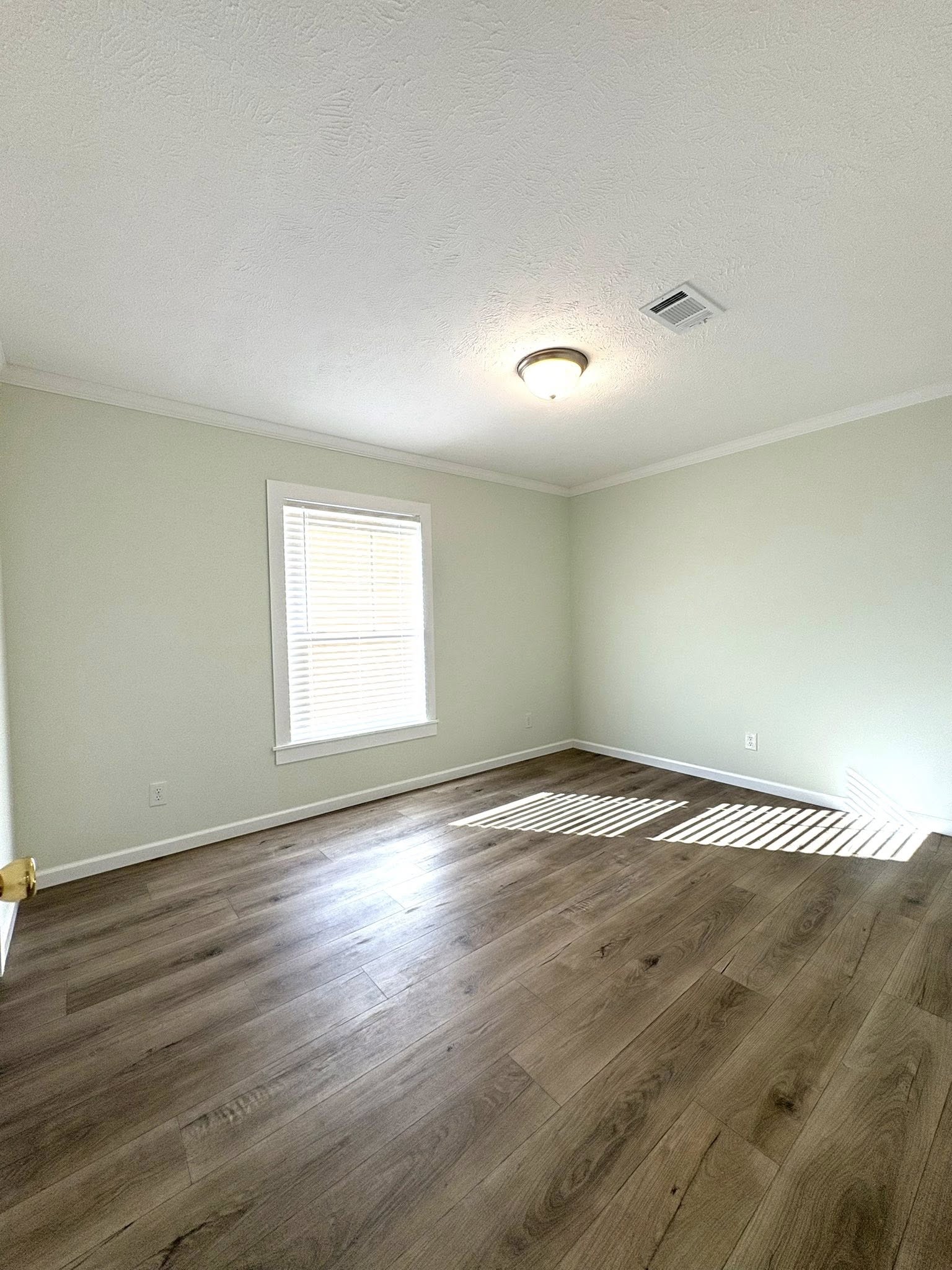 An empty room with light green walls and wooden flooring. A single window with blinds casts striped shadows across the floor, creating a calm, serene atmosphere. Ceiling light fixture centered.