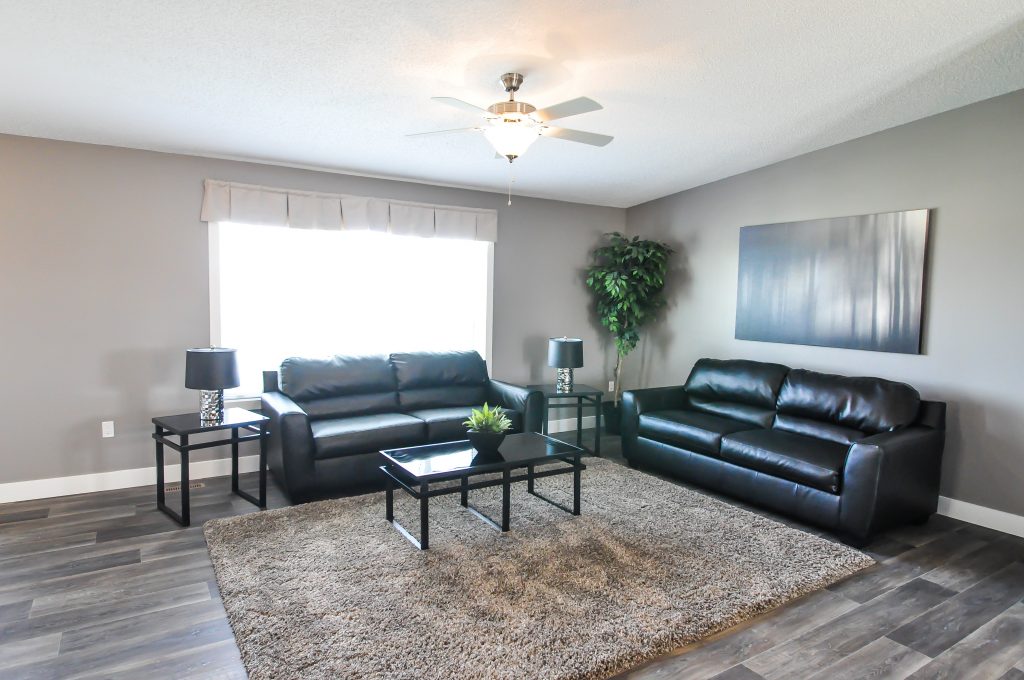 Modern living room with gray walls, dark leather sofas, and a shag rug. A ceiling fan hangs above, and a plant and abstract art add elegance.