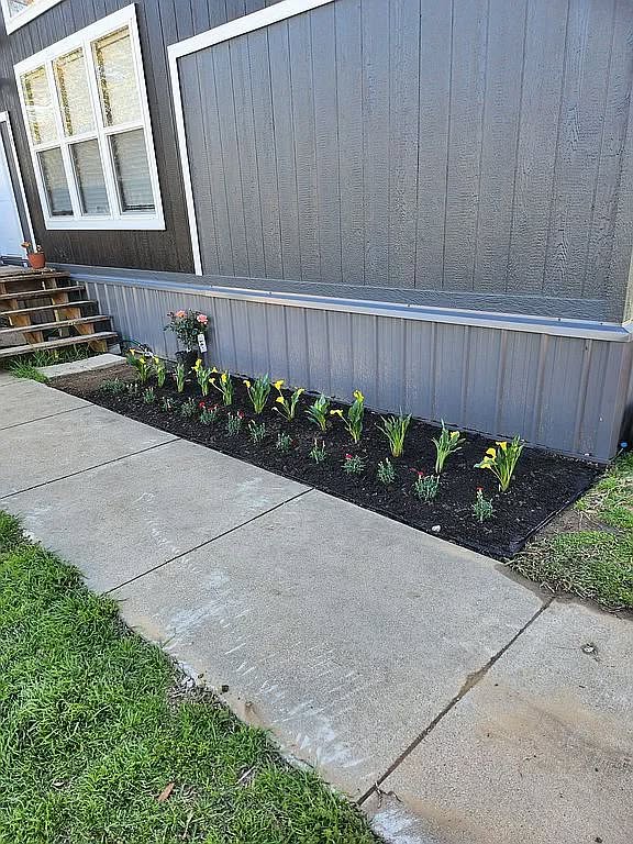 Newly planted flower bed with yellow and red flowers in front of a dark blue house. Adjacent concrete path and green grass enhance the scene.